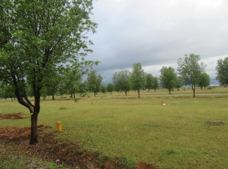 6) Li Id : 126 - Pic : 7.JPG